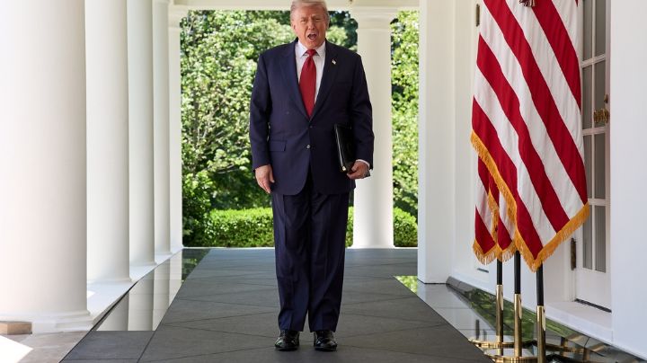 "Los cárteles son los que gobiernan México, nadie más": Trump