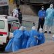 OMS eleva a seis los casos confirmados de hantavirus tras el positivo de un contagio sospechoso