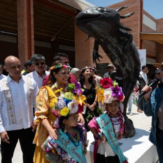 Brugada defiende acciones para la conservación del ajolote: “dicen que solo pintamos...”