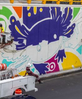 Movimiento Ciudadano denuncia a Brugada por la “ajolotización” y pintar de morado la CDMX
