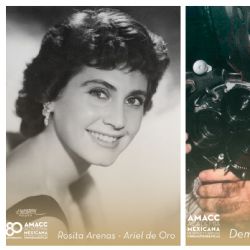 La actriz Rosita Arenas y el documentalista Demetrio Bilbatúa recibirán el Ariel de Oro